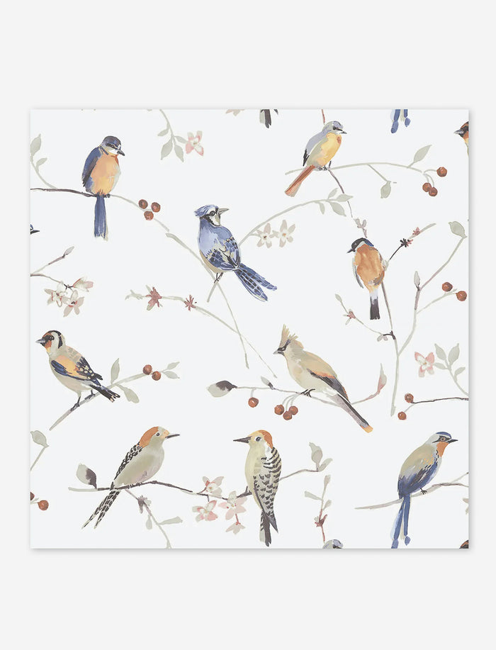 Serviettes de table oiseaux colorés - paquet de 20