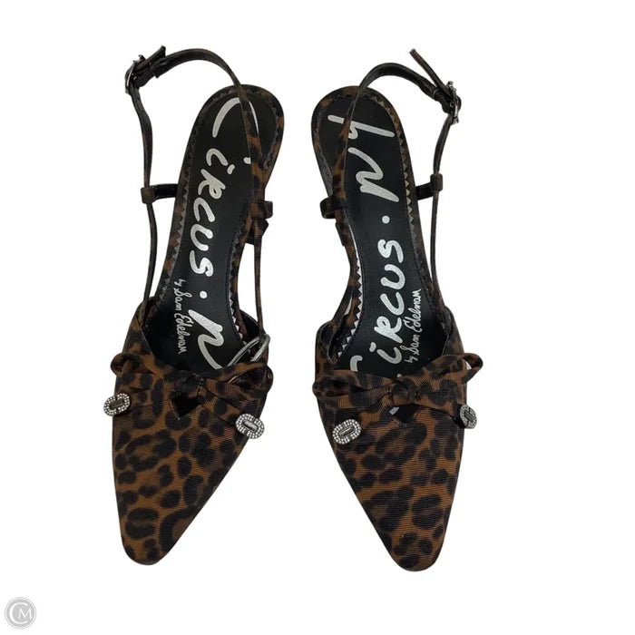 Shoes Heels Stiletto By Circus By Sam Edelman In Leopard Print, Size: 7.5