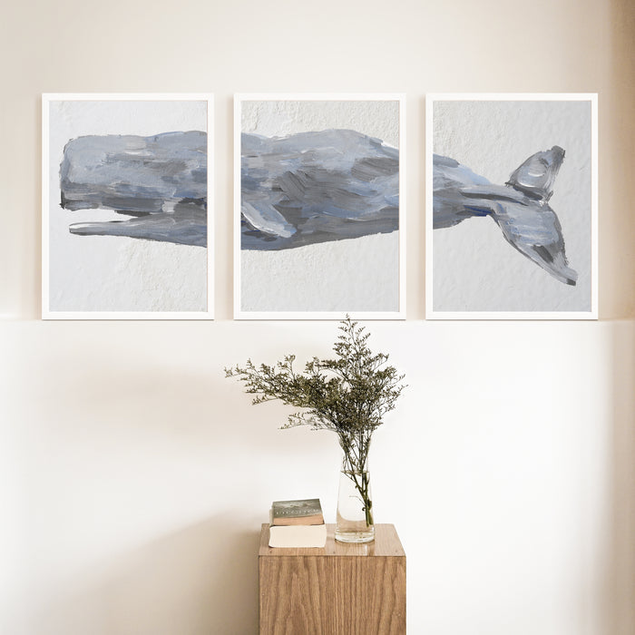 Sperm Whale Painted Triptych - Set of 3  - Art Prints or Canvases - Jetty Home