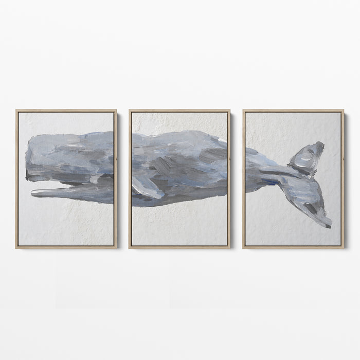 Sperm Whale Painted Triptych - Set of 3  - Art Prints or Canvases - Jetty Home