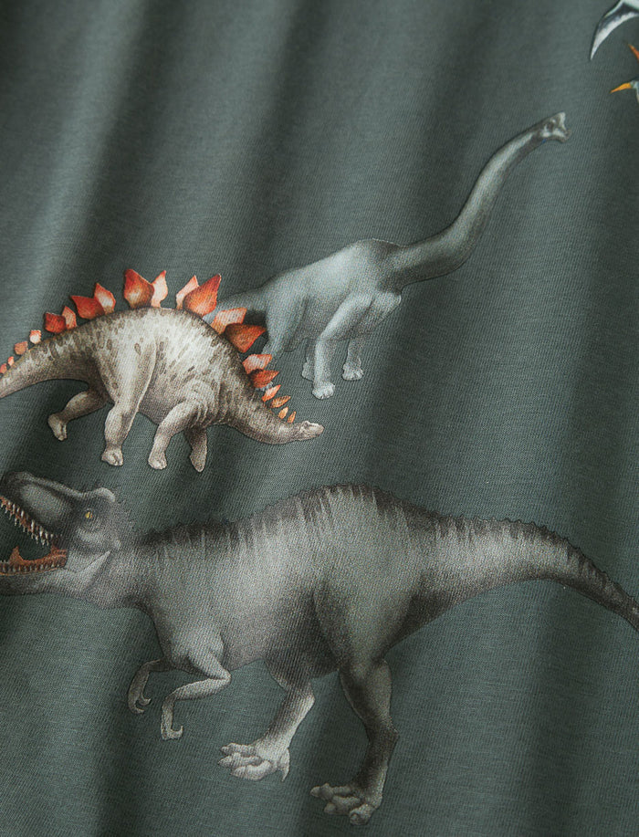 T-shirt à imprimé dinosaures - petit garçon
