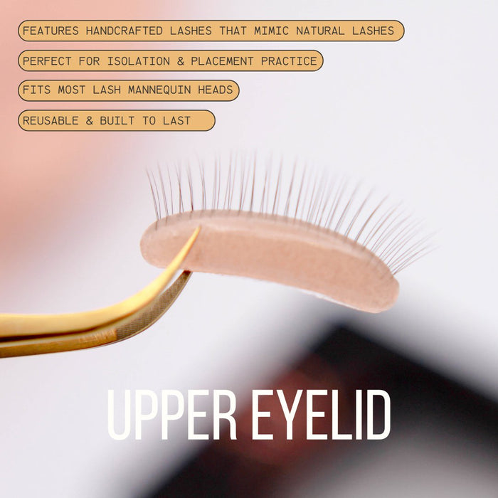 Regular: 2 Upper Eyelids