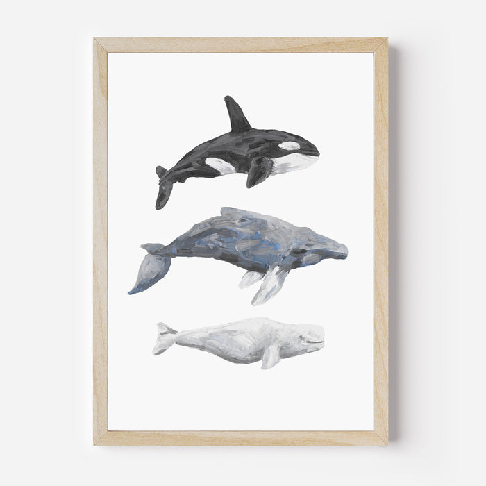 Whale Trio Watercolor  - Art Print or Canvas - Jetty Home