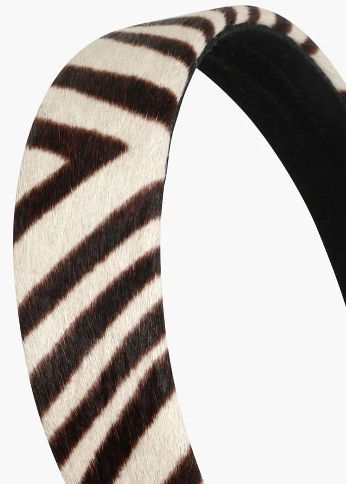 zebra